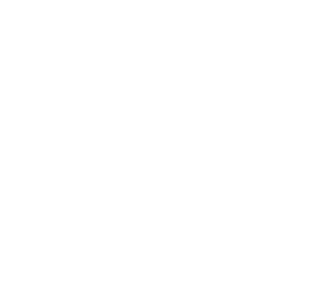 stockerwirt-logo