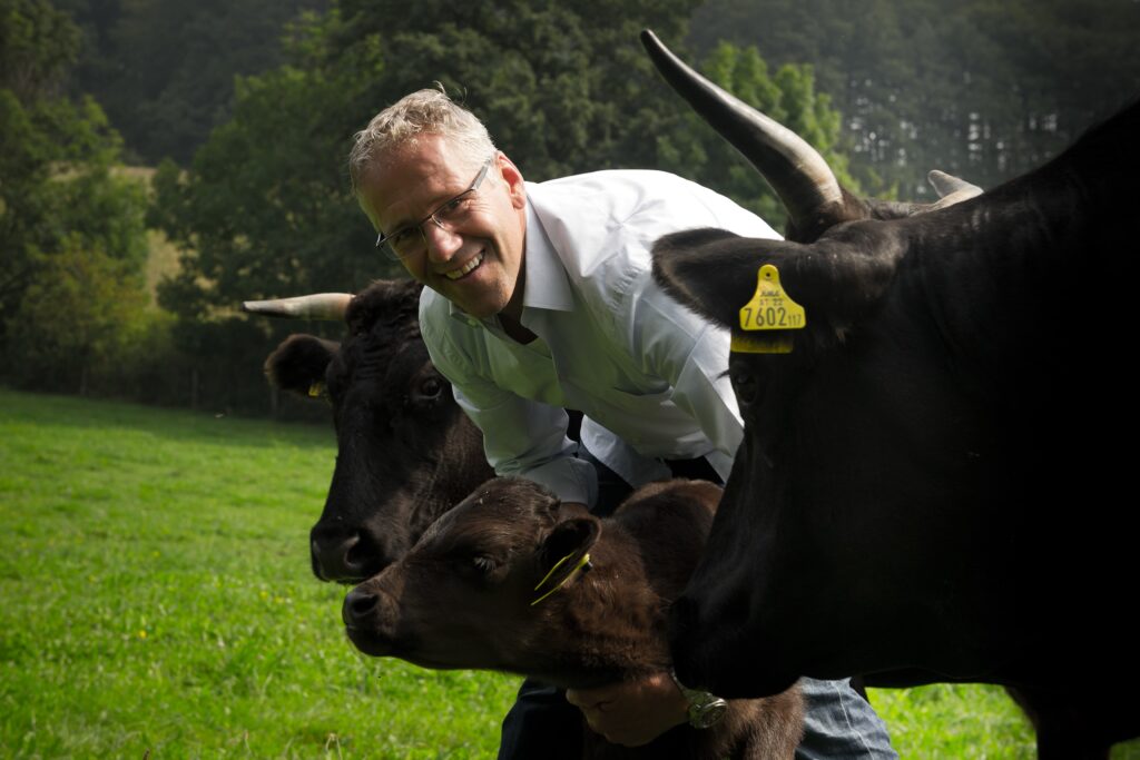 Kobe Beef Austria - Zuchttiere